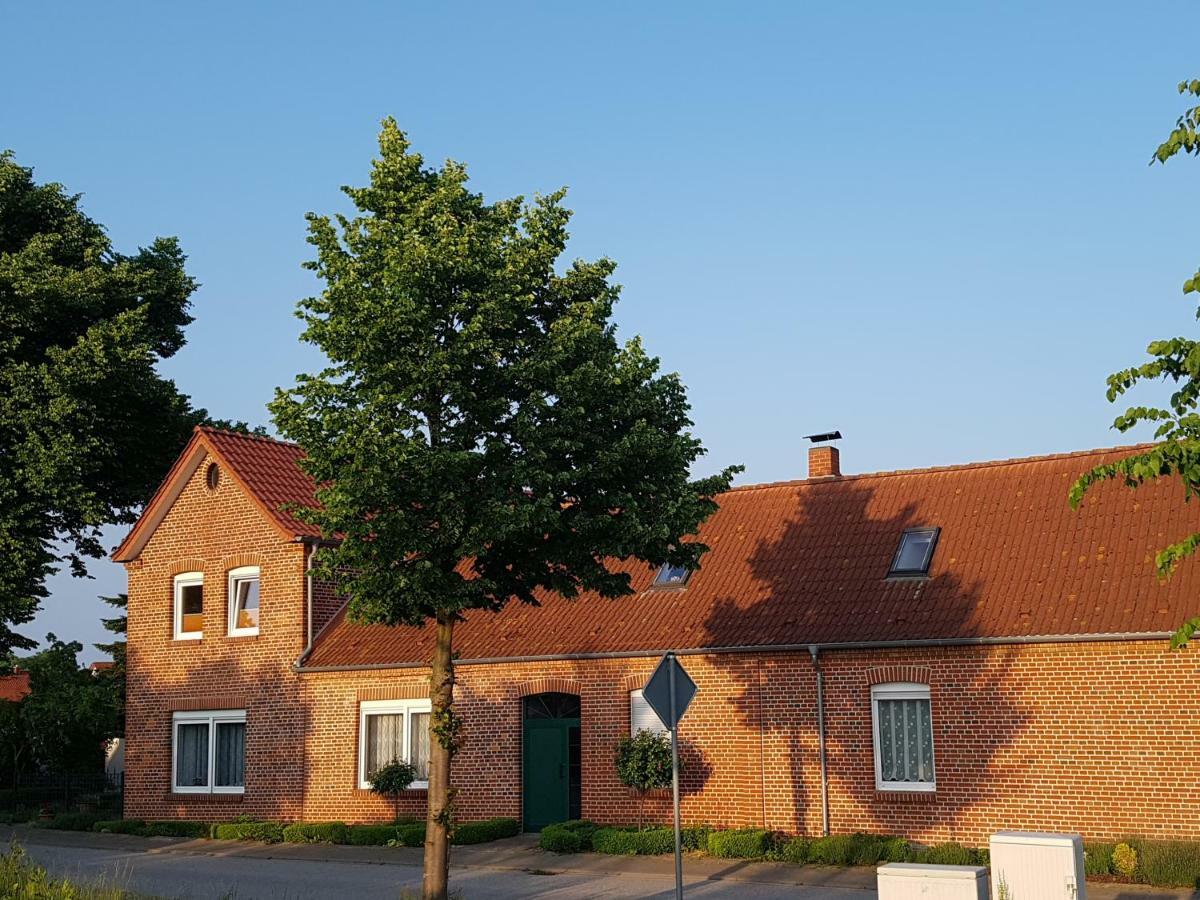 Seesternchen Gross Schwansee Exterior photo